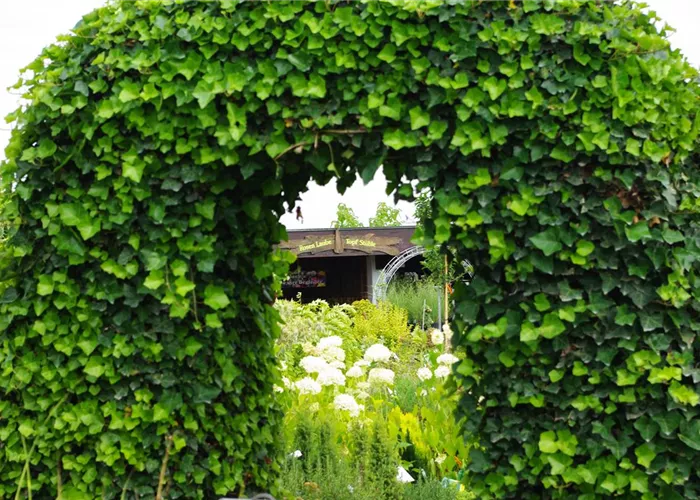 Gartenarbeiten Gartenarbeiten